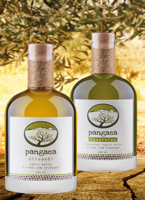 Pangaea Olivenöl aus Griechenland