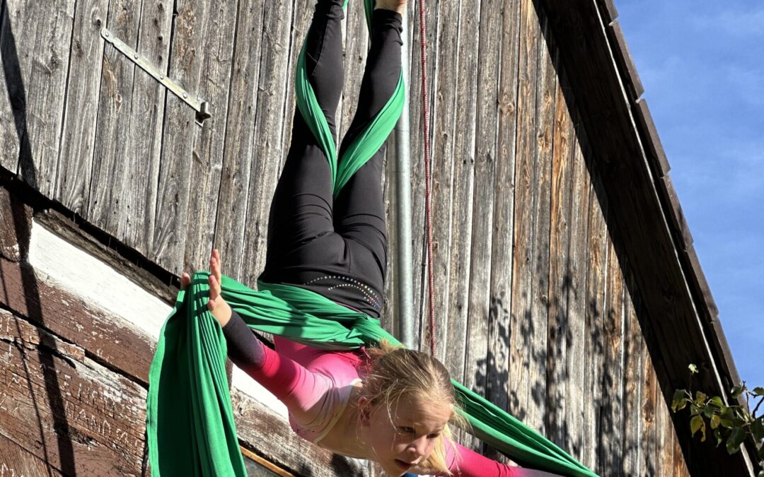 Vertikaltuch Workshop – Anfänger mit Vorkenntnissen